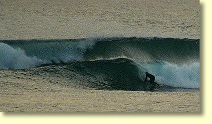 Surfing South Australia