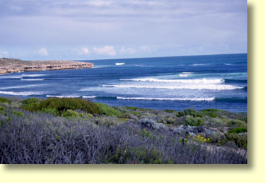 Cactus Beach is located 94 kilometres west of Ceduna. Cactus is a must visit for serious surfers. For the rest of us Cactus Beach is definitely an off the beaten track destination.