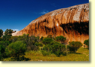 Karcultaby Area School should be congratulated for carrying out revegetation work around the base of Pildappa Rock. Good on you guys!